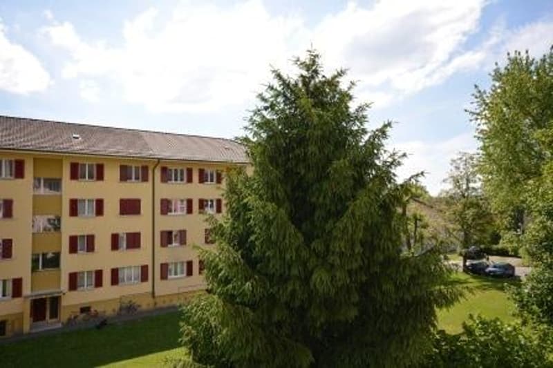 Charmante 3-Zimmer-Wohnung mit Balkon in Ostermundigen (2)