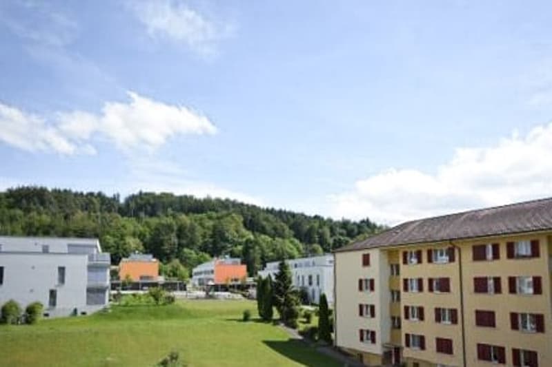 Charmante 3-Zimmer-Wohnung mit Balkon in Ostermundigen (3)
