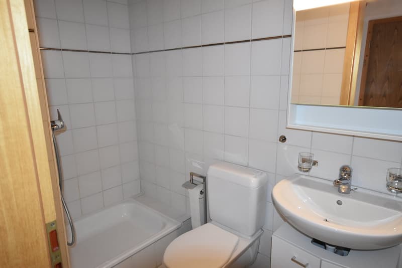 Charmante 4.5-Zimmer-Dachwohnung Heggidorn – Ruhige Lage mit herrlichem Ausblick (10)