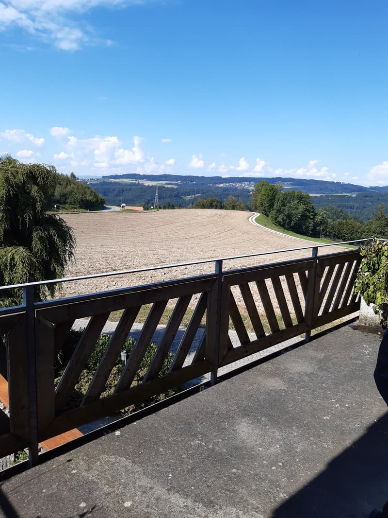 Charmante 4.5-Zimmer-Dachwohnung Heggidorn – Ruhige Lage mit herrlichem Ausblick (32)