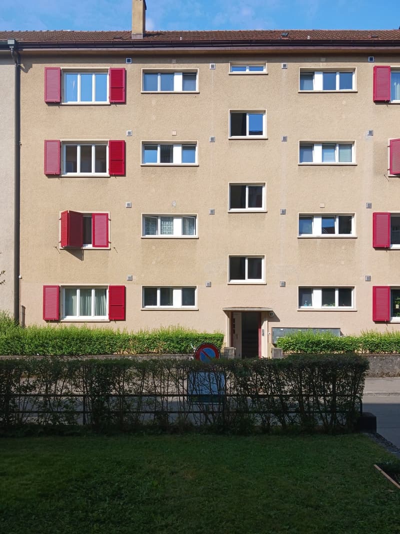 hübsche 2-Zimmer-Single-Wohnung im Breitsch mit viel Cachet (3)