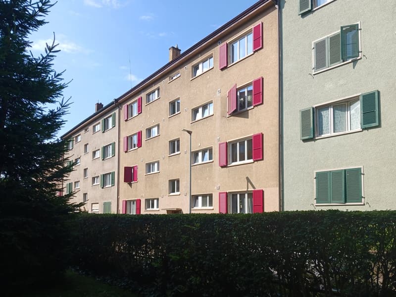 hübsche 2-Zimmer-Single-Wohnung im Breitsch mit viel Cachet (2)