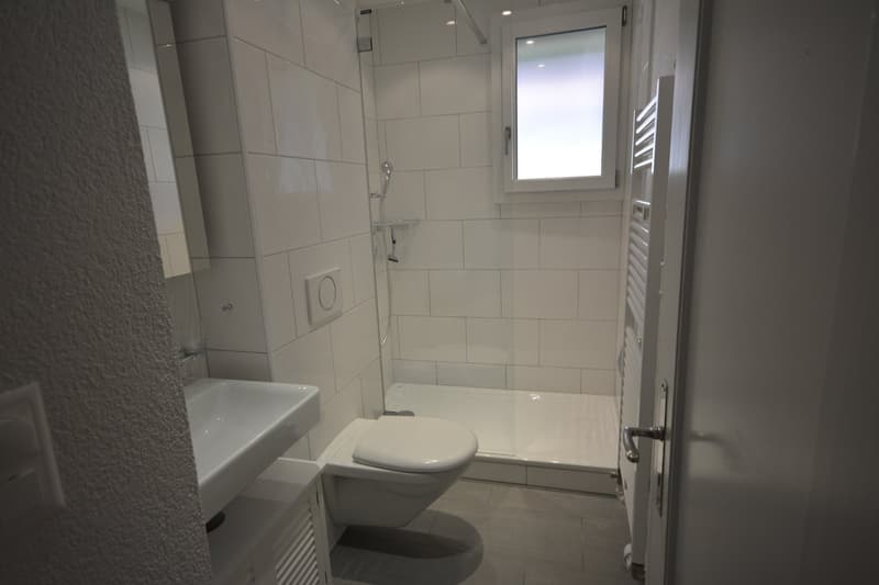 hübsche 2-Zimmer-Single-Wohnung im Breitsch mit viel Cachet (8)