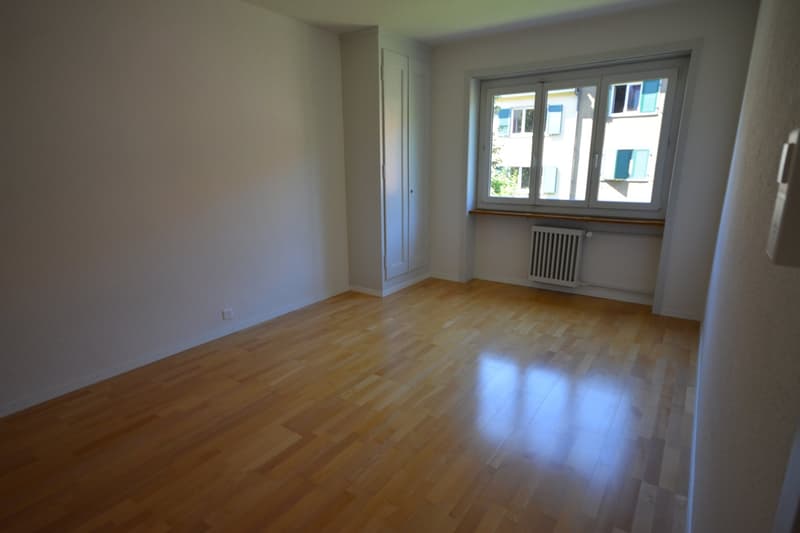 hübsche 2-Zimmer-Single-Wohnung im Breitsch mit viel Cachet (4)