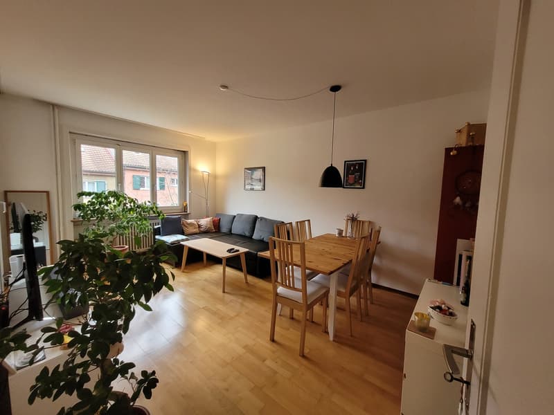 hübsche 2-Zimmer-Single-Wohnung im Breitsch mit viel Cachet (11)
