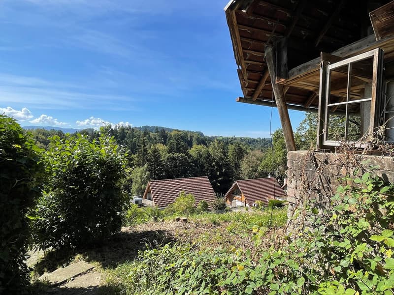 wooden house with brown roof, two other houses in the background, sunny day, trees and plants in the foreground