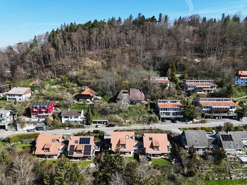 Several houses on a hillside, different sizes and styles, surrounded by greenery, cars parked on road, red roofs, solar panels, trees and bushes