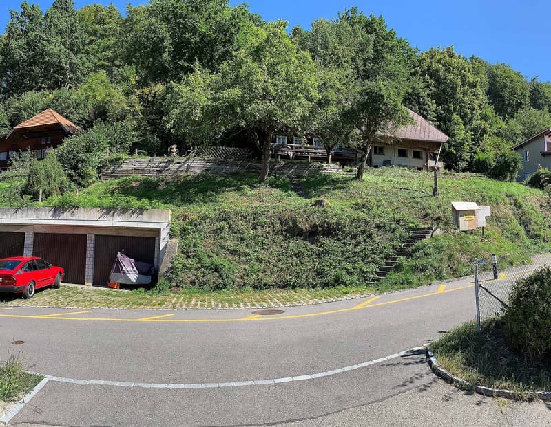 A hillside house with a garage built into the slope, a red car parked in front, surrounded by trees and shrubs