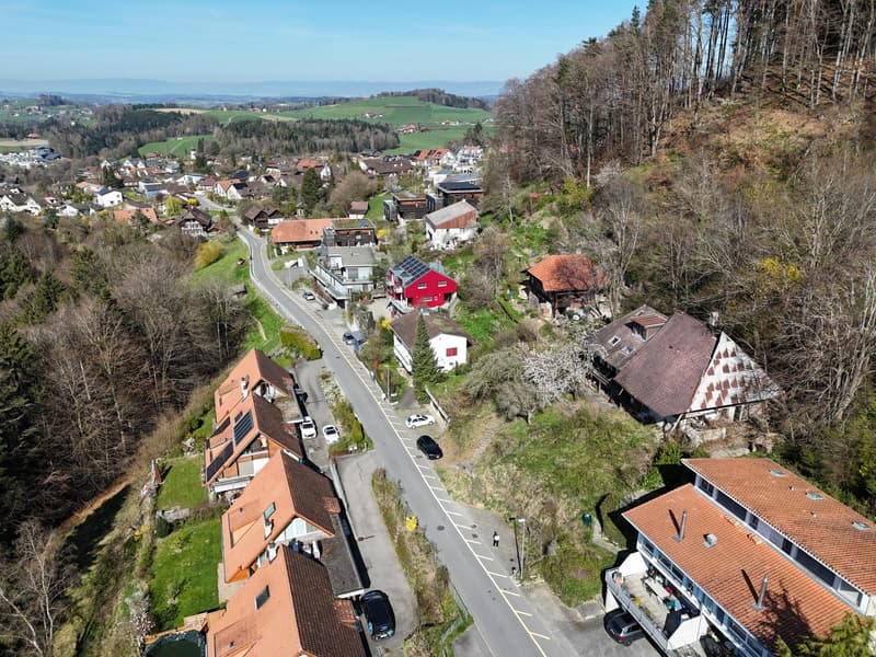 Houses with solar panels, green lawn, winding road