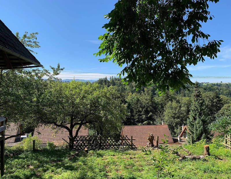 hilly area, multiple houses, lush greenery, fences, clearing in front of house, distant mountains
