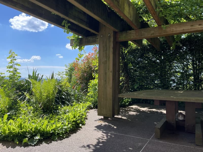 wooden pergola, wooden table, green plants, blue sky