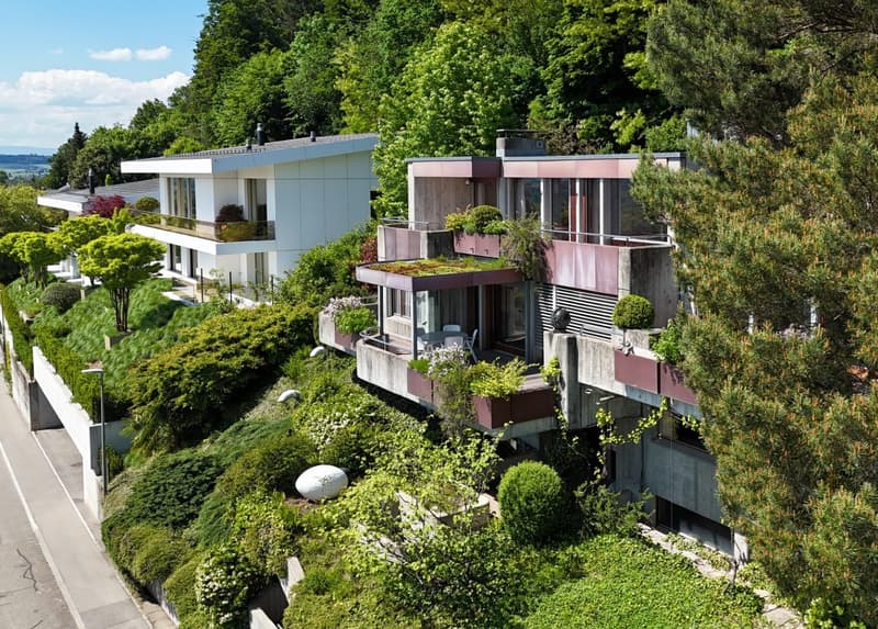 Modern house, multiple levels, green roof, balcony, surrounded by greenery
