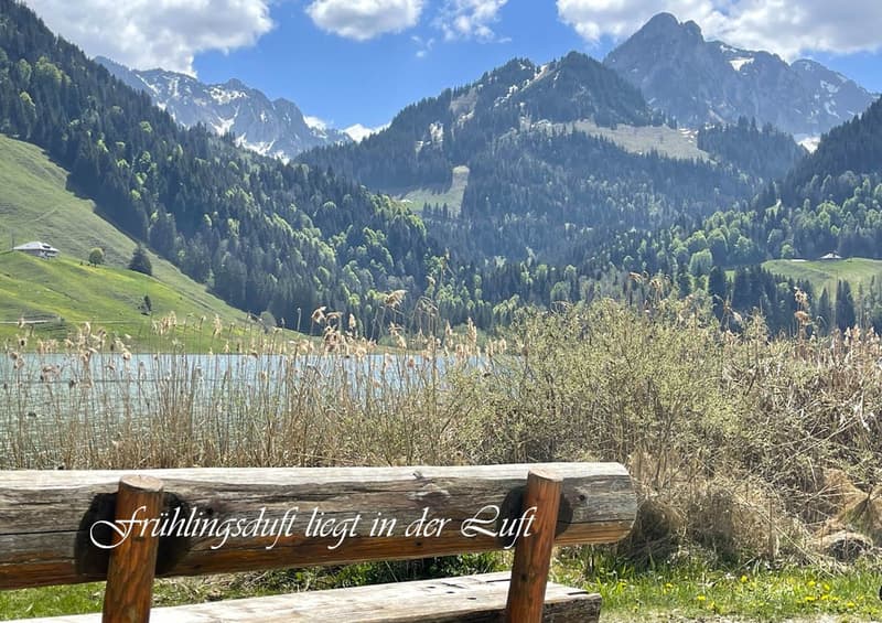 Summer- & Winterhouse "Seeblick" (3)