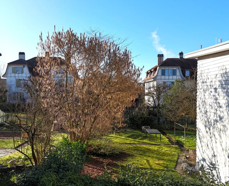 Im beliebten Wohnquartier *Blumenstrasse* (6)