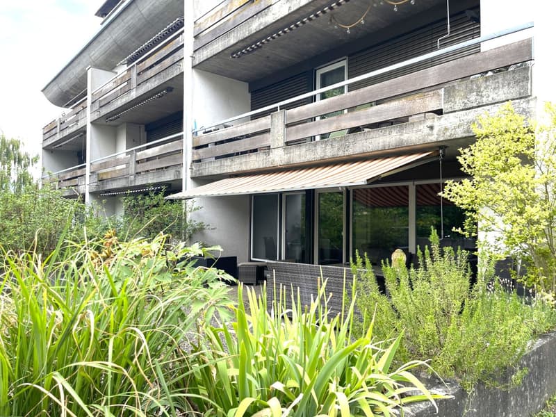 Parterre mit schönem Grundriss & einer grossen Terrasse (1)