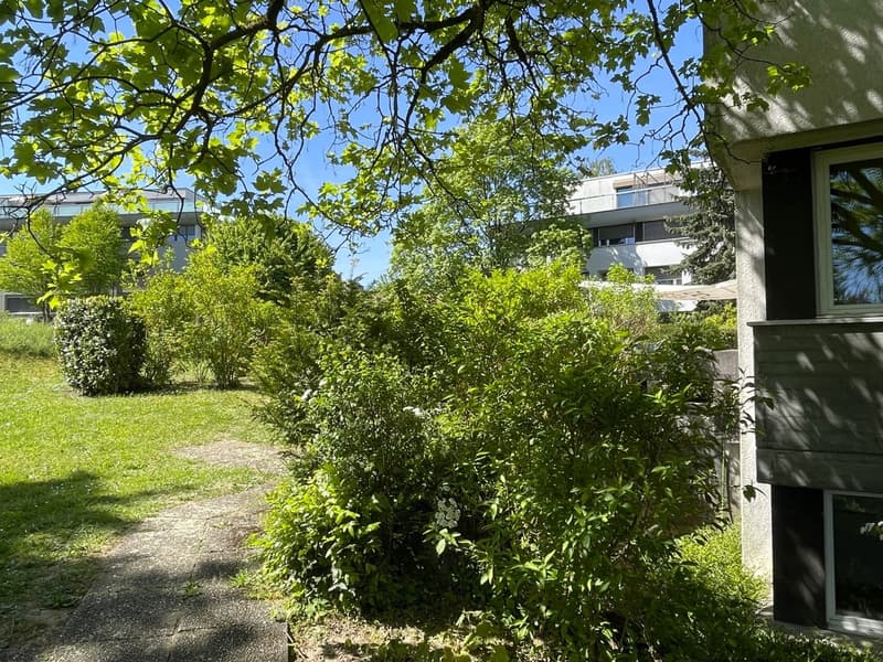 Schöner Grundriss, Balkon und Dachterrasse (5)