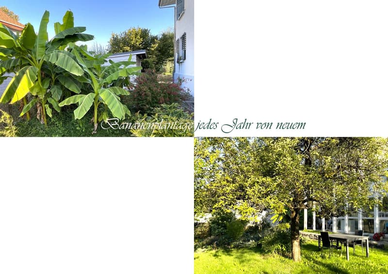 Zwei bis drei Wohneinheiten (5)