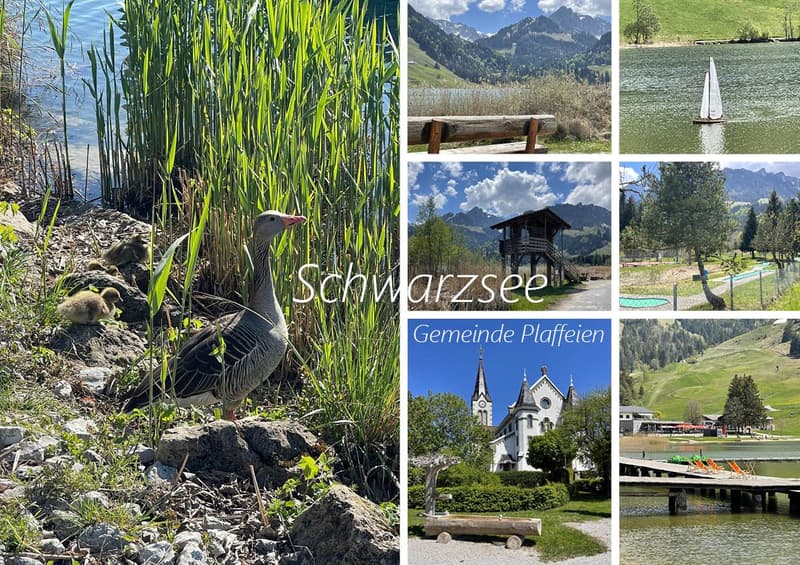 Sommer- & Winterhaus (14)