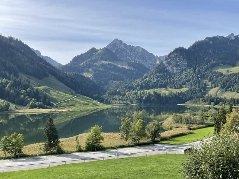 Sommer- & Winterhaus (4)