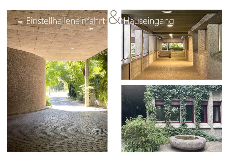 Zentrumsnah & naturverbunden zugleich - 3.5 Zimmer und separates Büro (5)