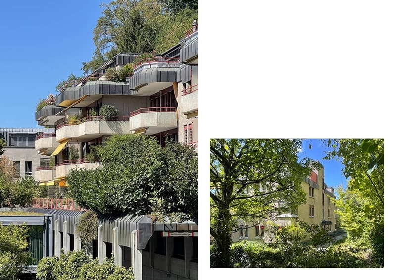 Zentrumsnah & naturverbunden zugleich - 3.5 Zimmer und separates Büro/Atelier/Waschküche (5)