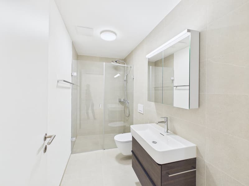 modern bathroom, white tiles, glass door, large mirror, toilet, sink, shower