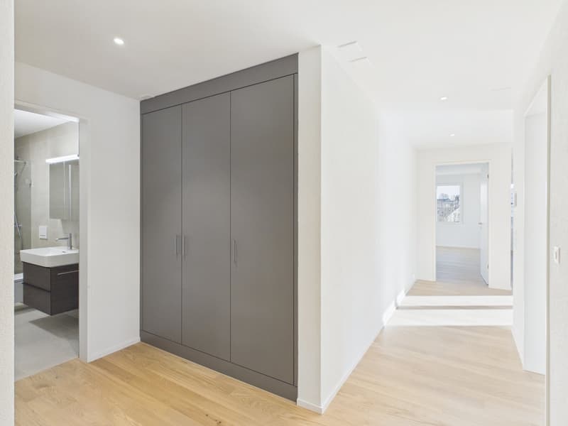 Bathroom with wooden floor, white walls, sink, large gray built-in closet, adjacent shower room