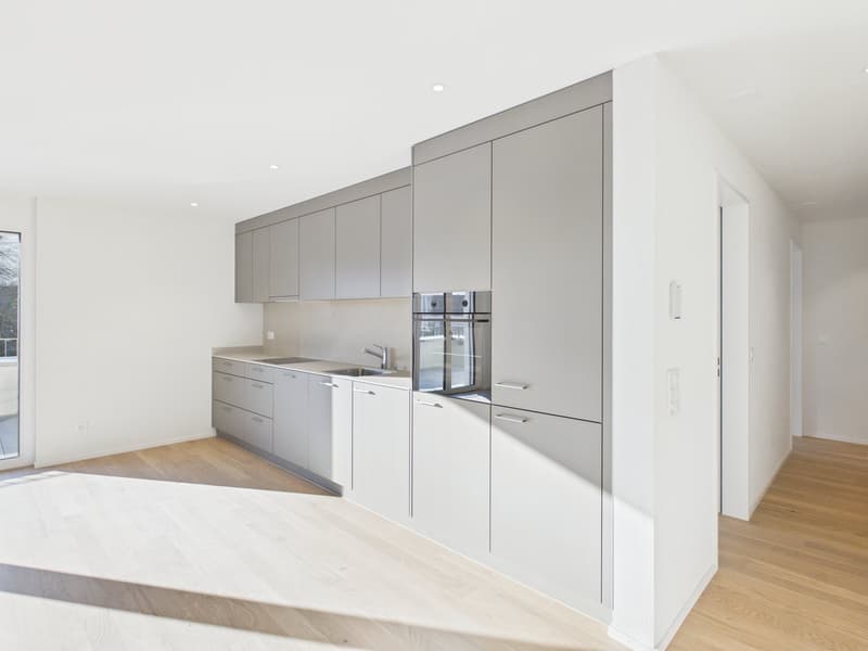 modern kitchen with white cabinets, granite countertop, integrated oven and dishwasher, faucet, sink