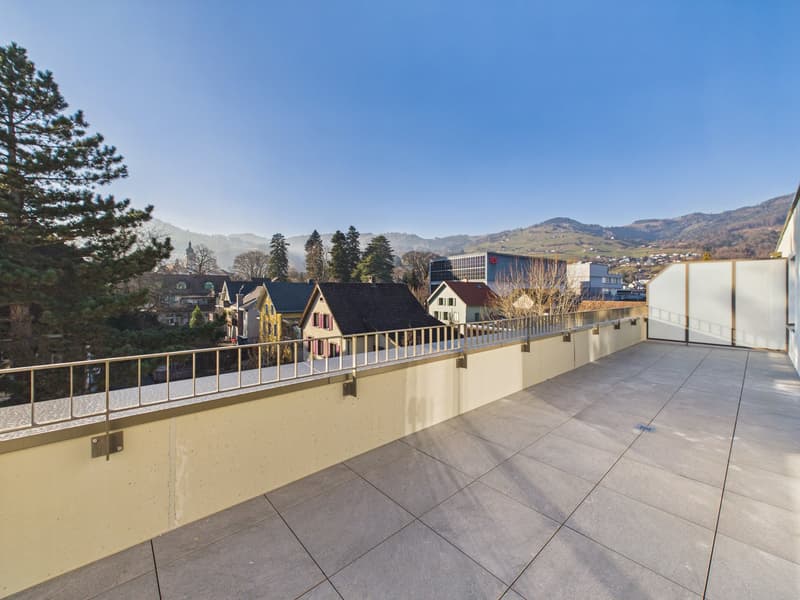 Empty roof terrace with panoramic view of city and mountains