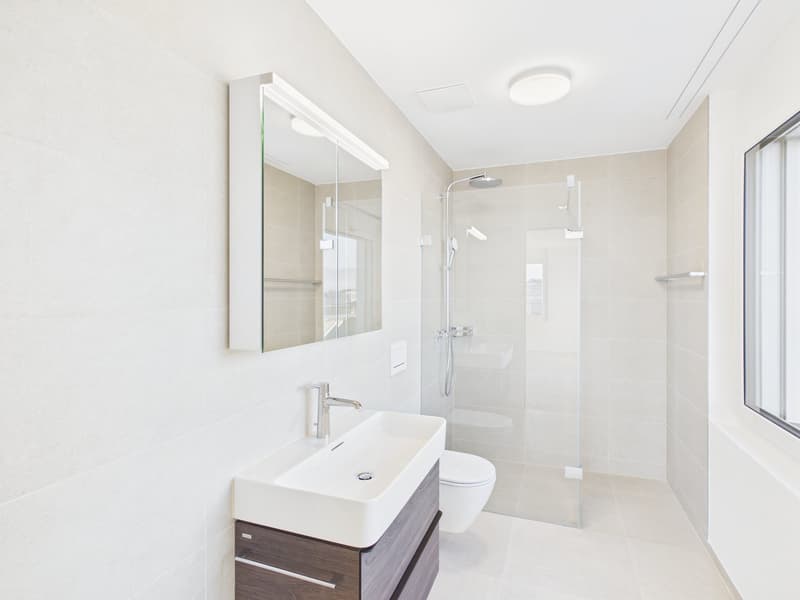 Modern bathroom with white sink, shower, and toilet in glass enclosure, with a mirror and built-in cabinet