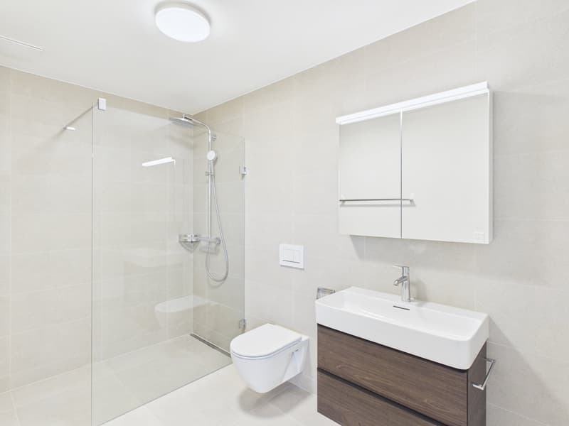 modern shower enclosure, floating vanity, pedestal sink, white tiles, modern fixtures