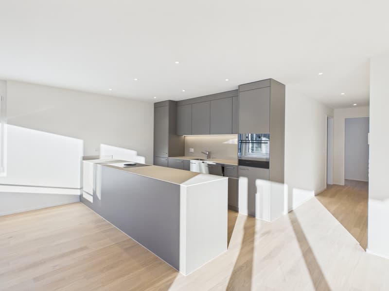 Modern kitchen with island countertop, central island with stove top, built-in kitchen appliances, sleek gray cabinetry