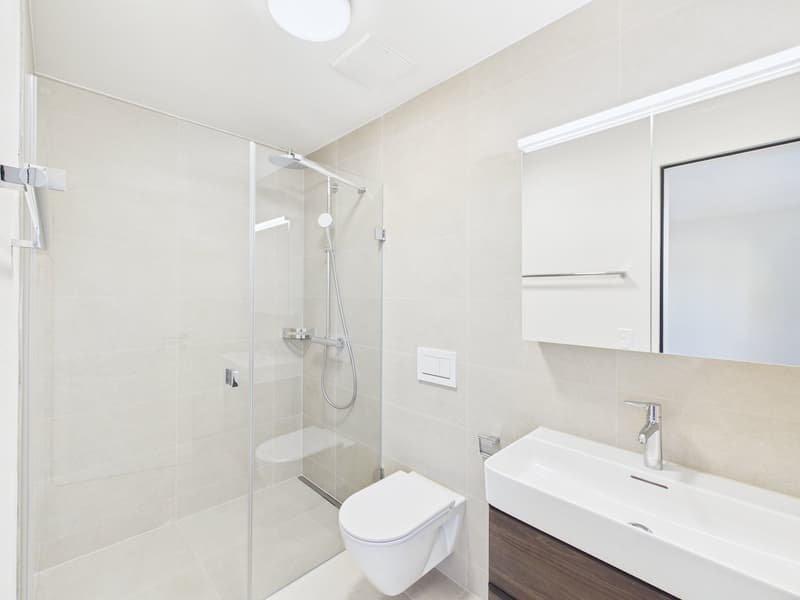 Glass shower enclosure, white ceramic tiles, white toilet, vanity sink, mirror, wooden cabinet