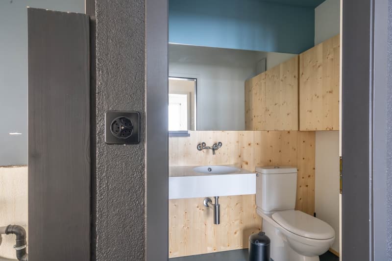 Modern bathroom with wooden walls, white sink, white toilet, mirror, dark gray door, electric outlet