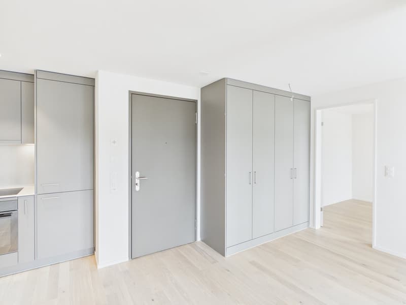 Erstbezug nach Kernsanierung – Moderne 3.5-Zimmerwohnungen mit hochwertigem Ausbaustandard (3)
