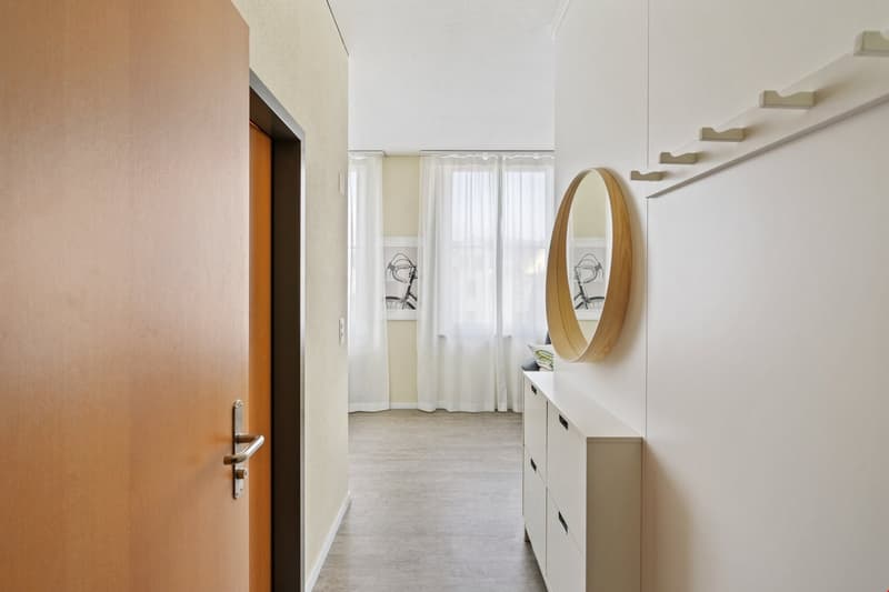 Gemütliche 1-Zimmer-Wohnung in Bischofszell (3)