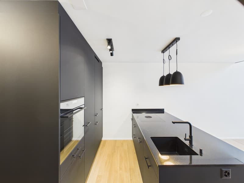 Moderne 3-Zimmer-Duplex-Wohnung in Diessenhofen (9)