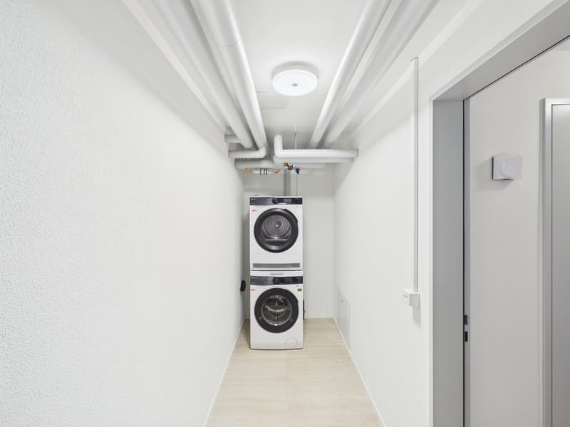 Moderne 3-Zimmer-Duplex-Wohnung in Diessenhofen (12)