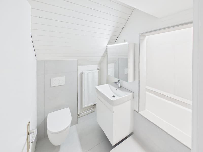 Charmante 3.5-Zimmer-Dachwohnung in Romanshorn – sofort verfügbar! (4)
