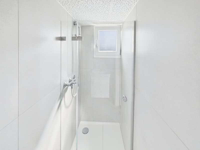 Charmante 3.5-Zimmer-Dachwohnung in Romanshorn – sofort verfügbar! (13)