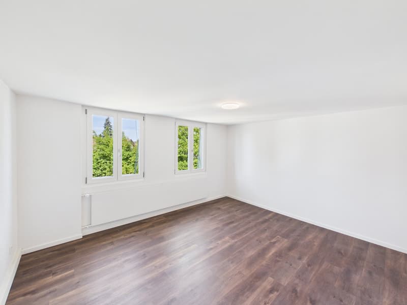 Charmante 3.5-Zimmer-Dachwohnung in Romanshorn – sofort verfügbar! (10)