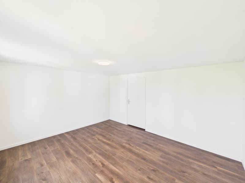 Charmante 3.5-Zimmer-Dachwohnung in Romanshorn – sofort verfügbar! (9)
