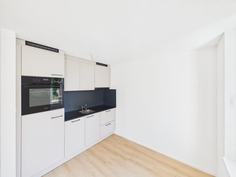 Sanierte 2-Zimmerwohnung an ruhiger Lage in St. Gallen (10)