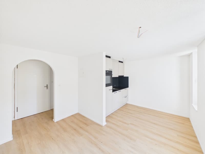 Sanierte 2-Zimmerwohnung an ruhiger Lage in St. Gallen (2)