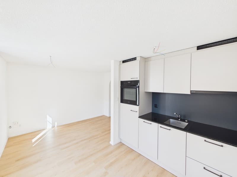 Sanierte 2-Zimmerwohnung an ruhiger Lage in St. Gallen (1)