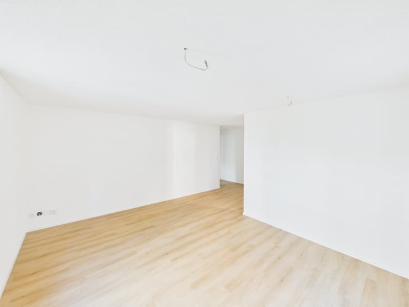 Frisch renovierte 3.5-Zimmer-Wohnung im Herzen von St. Gallen (3)