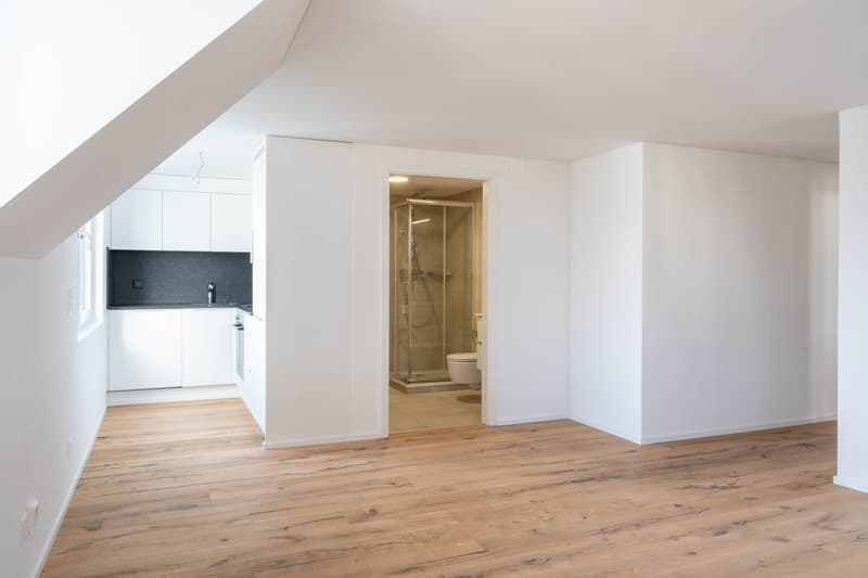 Helle und moderne 3.5-Zimmerwohnung – Zentrumsnah und kürzlich saniert! (1)