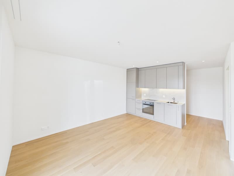 Moderne 2.5-Zimmerwohnung mit 14m2 Balkon (2)