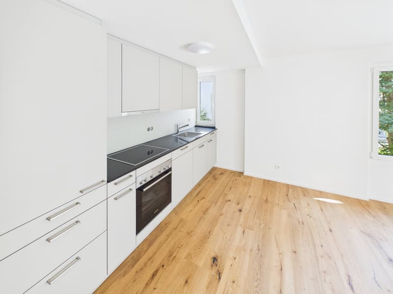 ERSTBEZUG - Totalsanierte 3.5-Zimmer-Wohnung an ruhiger Lage (2)