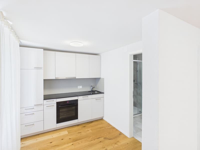 Moderne 1.5-Zimmer-Wohnung in Zentrumsnähe (1)
